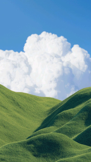 Green education landscape illustration